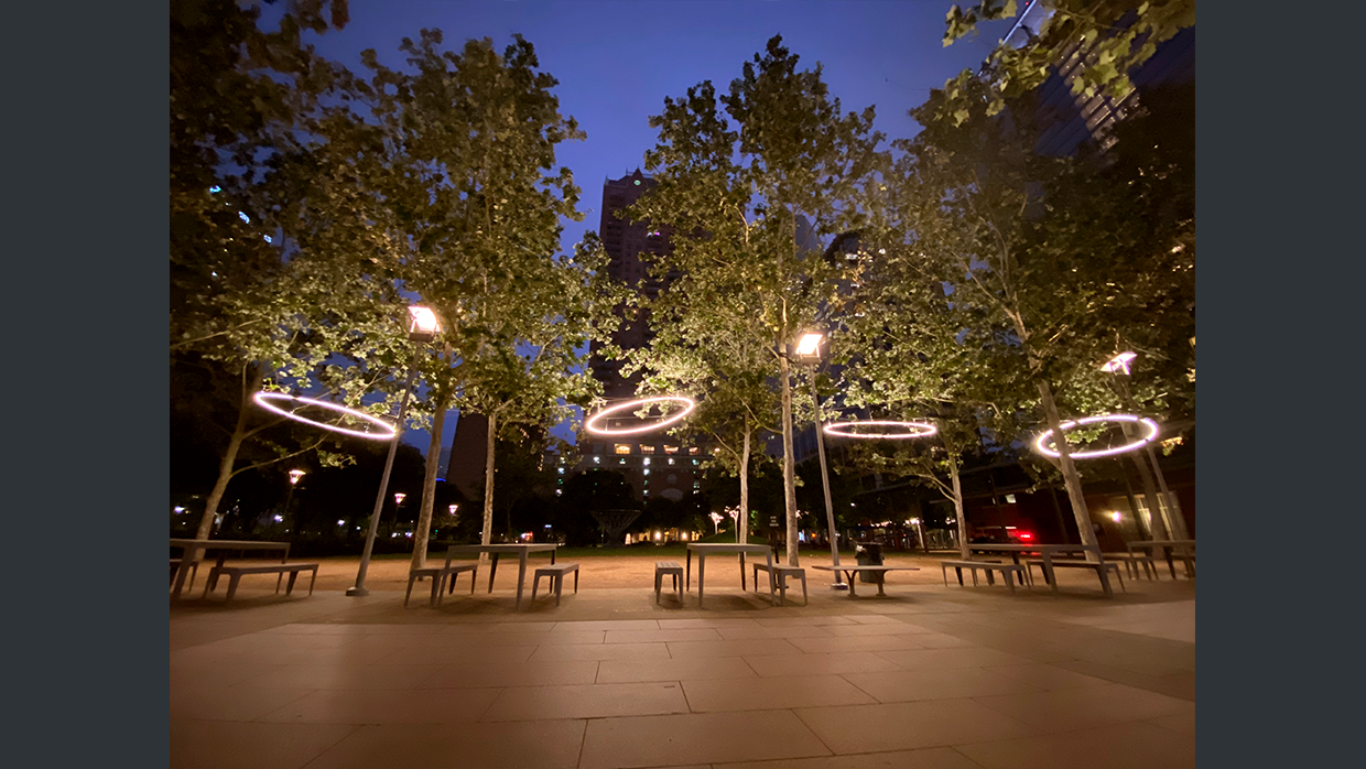 discovery green rings